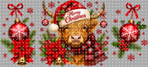 16oz Christmas-S  3041